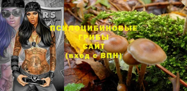 крисы Абинск