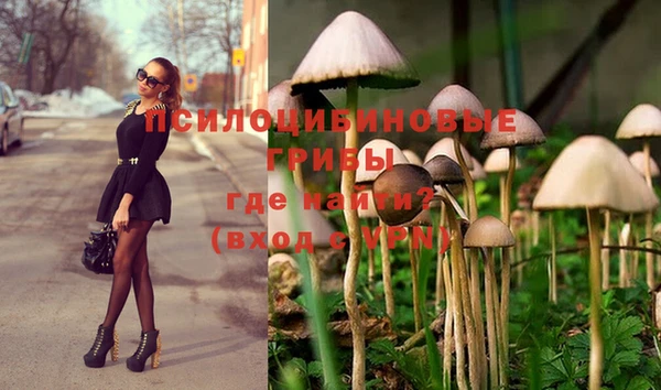 Альфа ПВП Абаза
