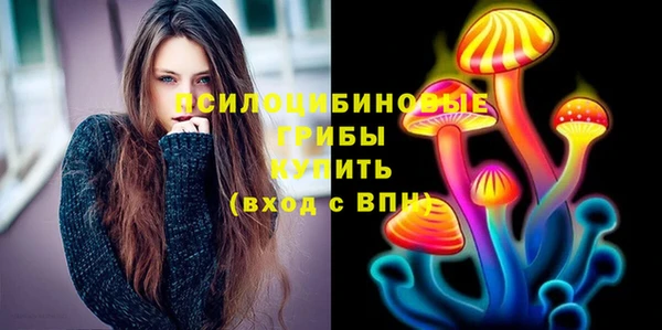 Альфа ПВП Абаза