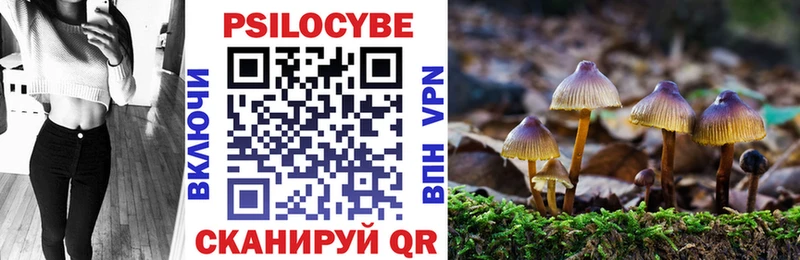 где продают   Хабаровск  Псилоцибиновые грибы Cubensis 